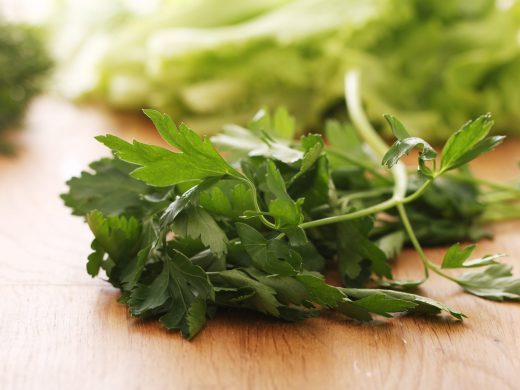 Close up fresh green parsley